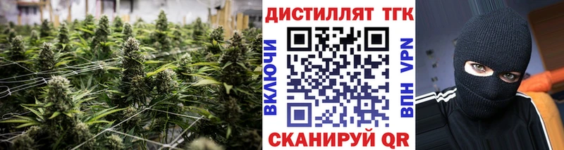 Дистиллят ТГК гашишное масло  Купить где  Изобильный 