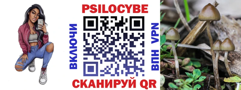 Псилоцибиновые грибы прущие грибы  Купить где  Изобильный 